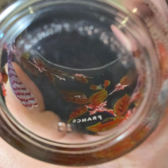 Set (2) Bird Juice Glass Small Tumbler Arcoroc France Blue Jay Baltimore Oriole - Picture 7 of 11